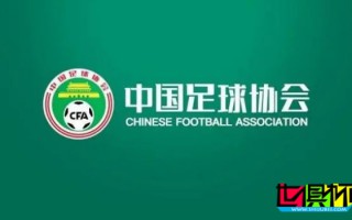 超大發單！泰安天貺 球員 姚道剛 因用手推擊裁判員被停賽1年