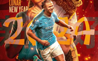 哈蘭德：龍的精神與你同在