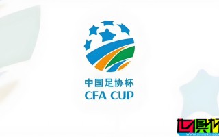 2024足協杯 VAR系統 合作項目由索尼（中國）中標