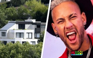 內馬爾 法國私生活內幕