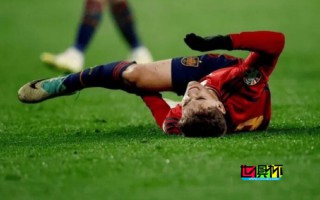 加比 十字韌帶受傷，恐賽季報(bào)銷