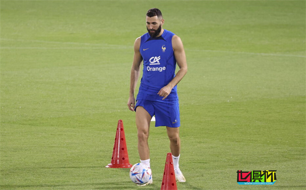 本澤馬 因傷退出世界杯-第1張圖片-世俱杯 本澤馬 因傷退出世界杯-第1張圖片-世俱杯