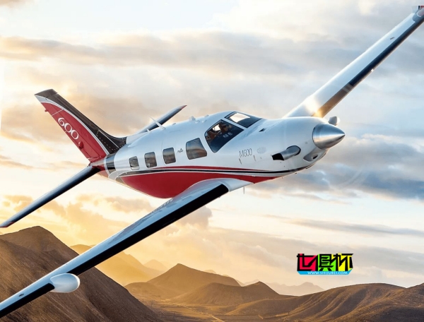 哈蘭德 賣掉價值300萬鎊的私人飛機-第1張圖片-世俱杯 哈蘭德 賣掉價值300萬鎊的私人飛機-第1張圖片-世俱杯